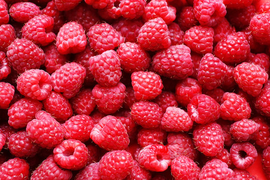 Ripe sweet raspberries close-up