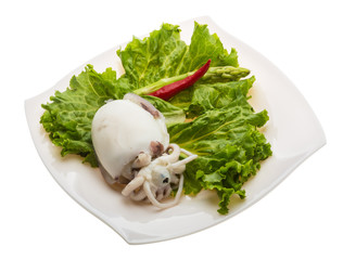 Boiled cuttlefish
