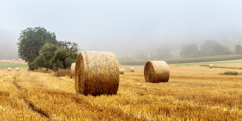 Fototapeta premium Hay Bales on a foggy morning