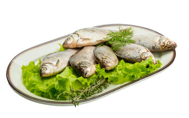 Crucian fish