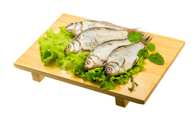 Crucian fish