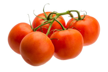Tomatoes on the branch