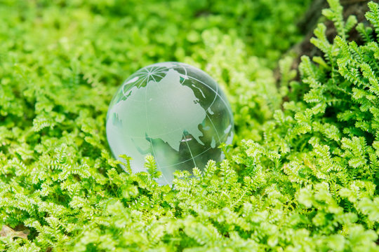 Glass globe in green grass