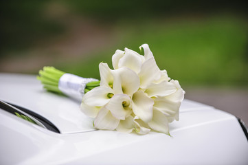 Beautiful wedding bouquet of white calla - obrazy, fototapety, plakaty