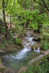 Obraz premium Mountain stream in the woods with clear cold water