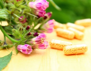 homöophathie mit beinwell