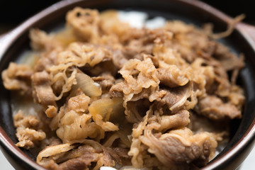 牛丼 beef rice bowl 黒背景