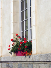 Fototapeta na wymiar fenêtre aux géraniums