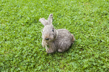 Straw rabbit