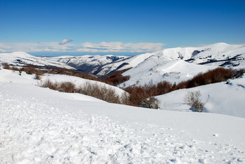Fototapeta na wymiar snowy Landscape