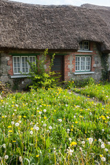 old traditional Irish cottage with overgrown lawn