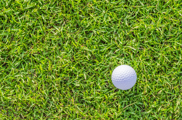 Golf ball on green grass