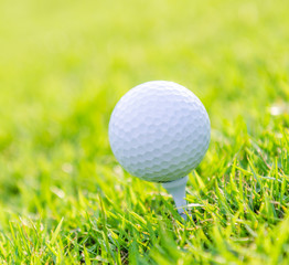 Golf ball on green grass