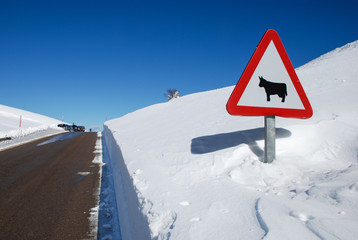 Road sign