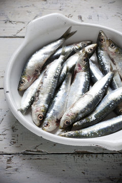 sardines on enamelled tray on rustic background