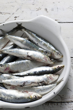fresh raw sardines on enamelled tray on rustic background