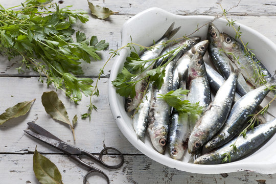 sardines on dish with parsley, bay leaves and thyme