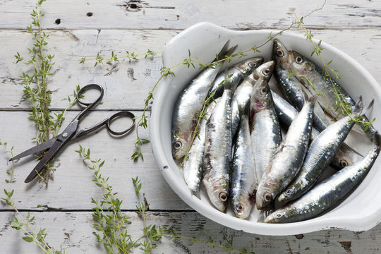 sardines on dish with thyme on rustic background