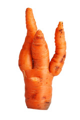 Twisted ripe carrot