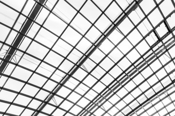Glass roof