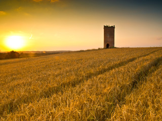 Fototapeta premium Circular red brick Dovecote Folly in an English rural Landscape