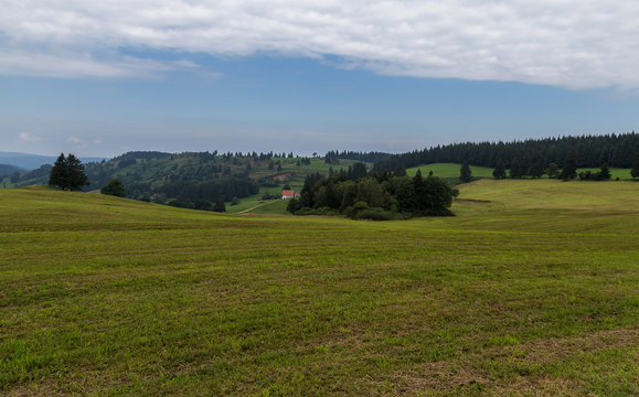 paysage des Vosges