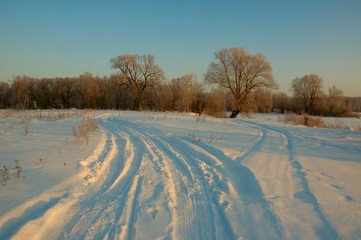 Fototapeta premium Winter landscape, trees covered in snow