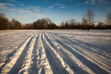 Fototapeta na wymiar Winter landscape, trees covered in snow