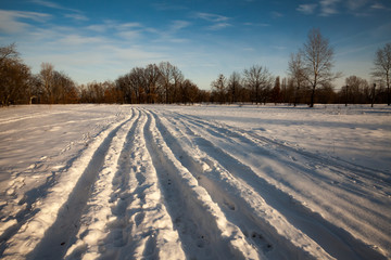 Fototapeta premium Winter landscape, trees covered in snow