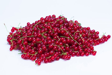 fresh red currants