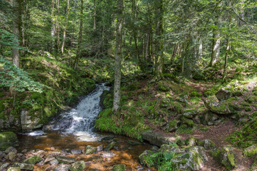 ruisseau de montagne