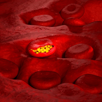 Malaria Virus Cell - 3D Illustration