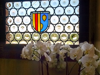 Chateau Chaumont-s-Loire, interior