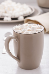 Cocoa with mini marshmallows