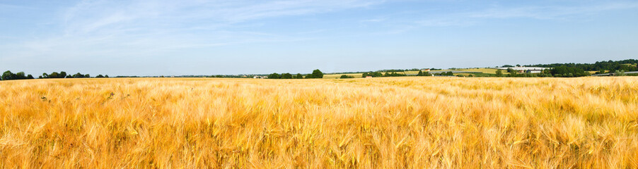 French countryside to the village of La Pommeraye