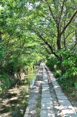 Fototapeta premium 哲学の道