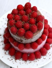 Chocolate and Raspberries Two tiers Ice cream Cake