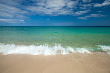 Fototapeta na wymiar Fuerteventura, clean beach of Jandia
