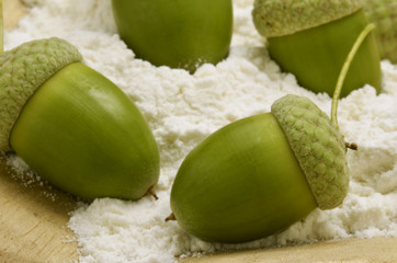 Acorn flour Ollon mjöl Farina di ghiande Mąka żołądź Eichelmehl © Comugnero Silvana