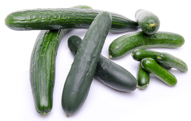 Fresh long and mini cucumbers
