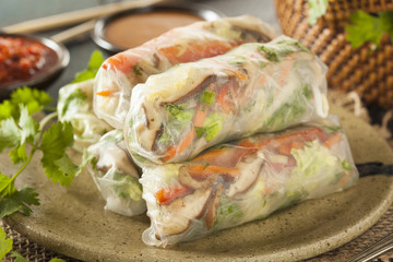 Healthy Vegetarian Spring Rolls