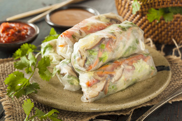 Healthy Vegetarian Spring Rolls