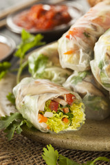 Healthy Vegetarian Spring Rolls