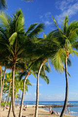 Fototapeta na wymiar Stock image of Waikiki Beach, Honolulu, Oahu, Hawaii..