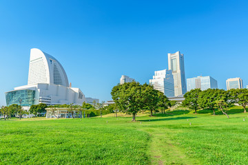 Landscape grass prospects buildings of landmark in clear weather