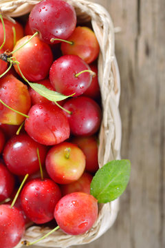 cherry-plum in basket
