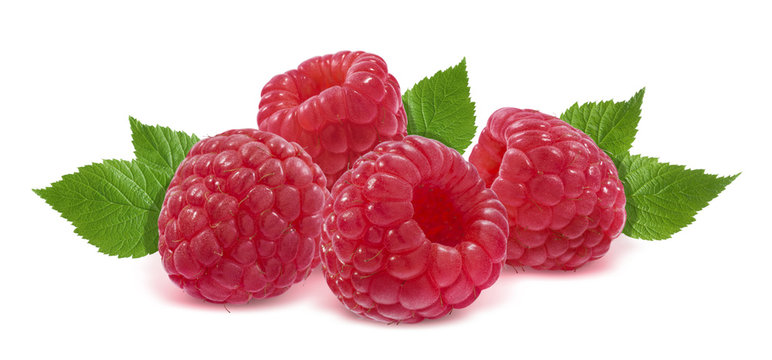 Four raspberries and leaves isolated on white background
