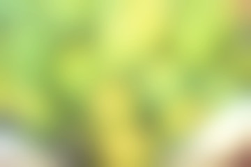 blurred green background texture