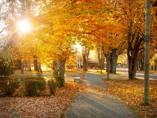 Sidewalk in autumnal morning