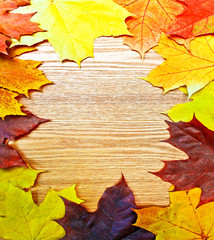Naklejka na ściany i meble Vintage Autumn wooden border from maple and fallen leaves